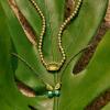 Kendra Scott Elisa Beaded Necklace, Fashion Jewelry for Women(AZALEA ILLUSION)